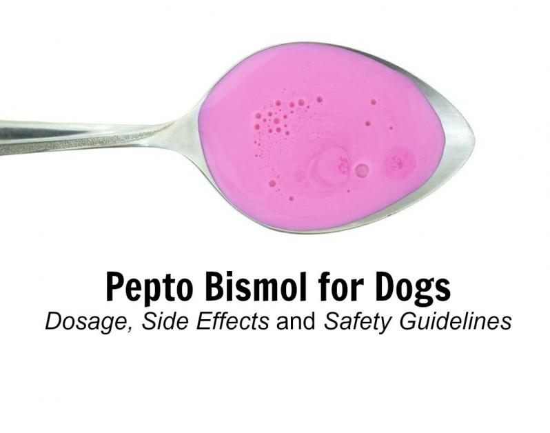 can i give my dog pepto for vomiting