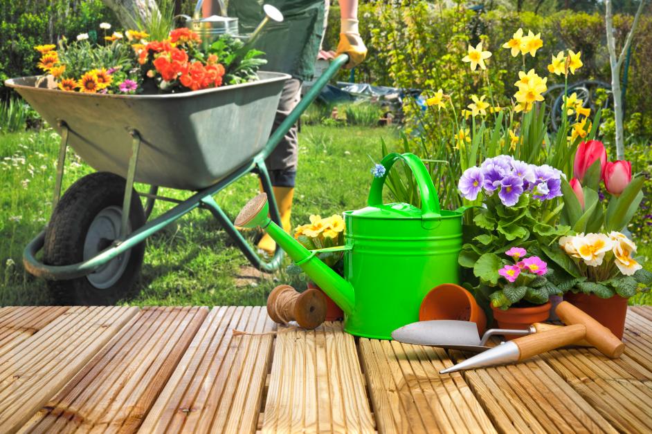 5 Basic Gardening Tools For Beginners Garden Exchange Ltd