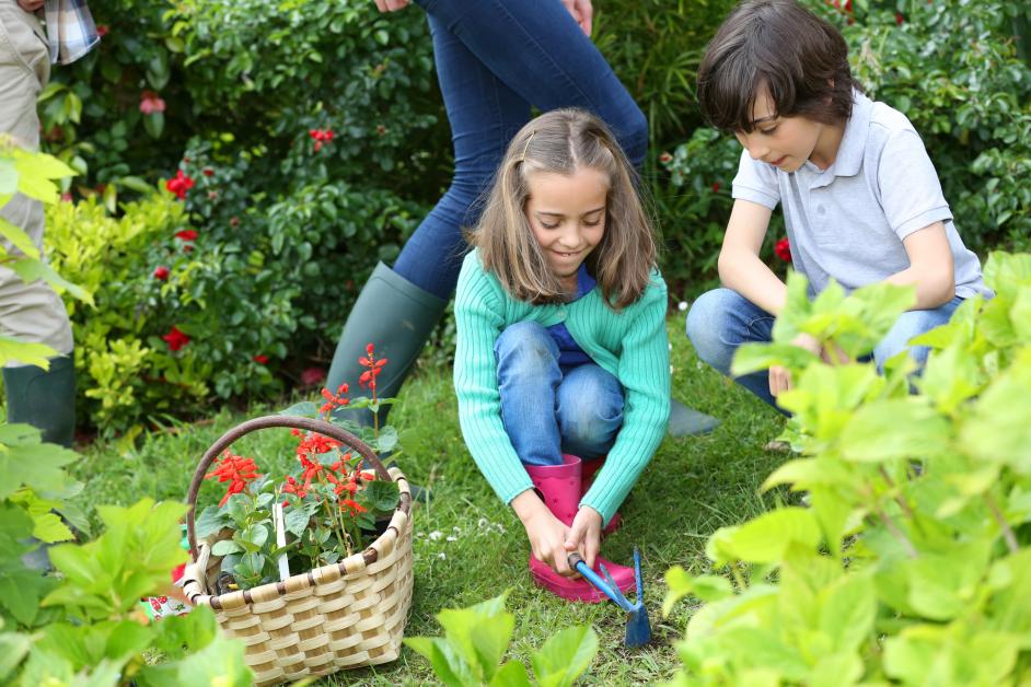 4 Ways To Make Kids Eager To Start Gardening Montana Gardens