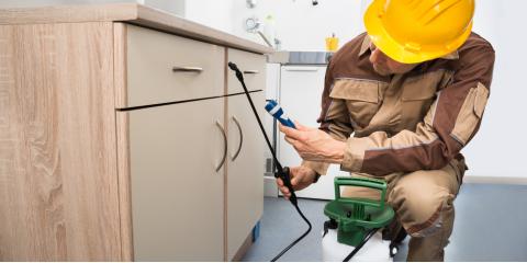 3 Benefits Of Hiring A Residential Pest Control Expert Pest Ex Dothan Nearsay