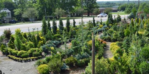 Hot Summer Deals Lakeview Garden Center Landscaping
